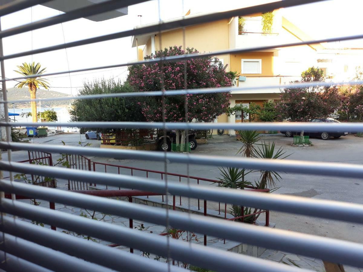 Limanaki Ss View